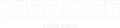 Viralyze Ecom Media
